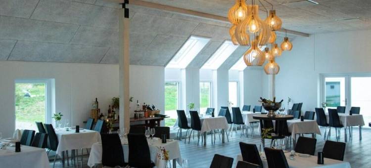 西威德克里特酒店(Hotel Hvideklit)图片