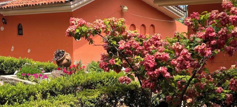 阿吉希克别墅酒店(Hotel Villas Ajijic, Ajijic Chapala Jalisco)图片