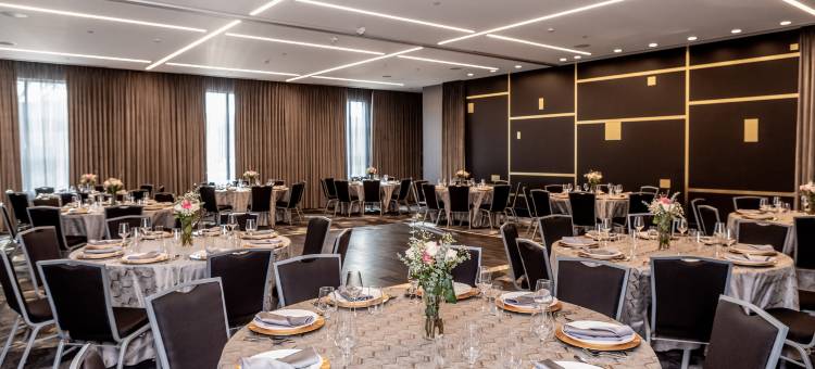 芝加哥玫瑰酒店，希尔顿启缤精选(The Rose Hotel Chicago O’Hare, Tapestry Collection by Hilton)图片