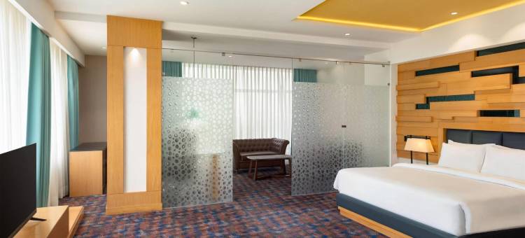 查谟维贾普尔温德姆华美达广场酒店(Ramada Plaza by Wyndham Jammu Vijaypur)图片