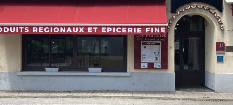 梧桐酒店和公寓(Hôtel et Appartements les Platanes)图片