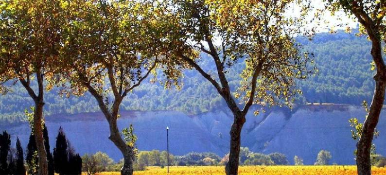 "Ground floor" in the petit domaine图片