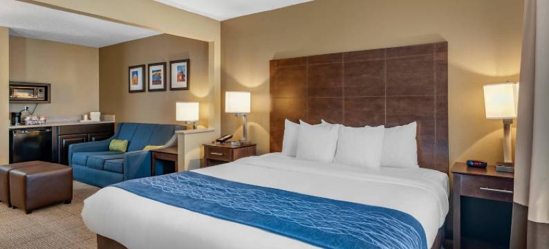 布莱恩-本顿特舒适套房酒店(Comfort Inn & Suites Bryant - Benton)图片