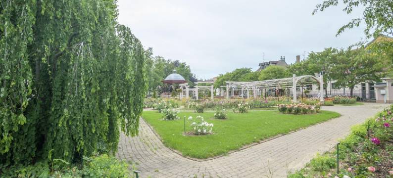 Comfortable Apartment in Belfort with Terrace图片