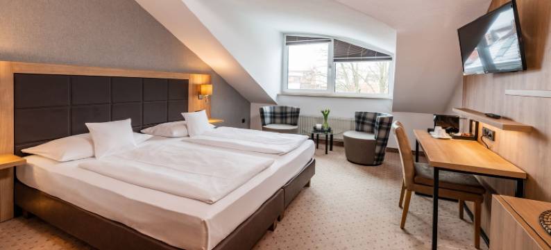 格贝尔的理念酒店(Göbel's Sophien Hotel)图片