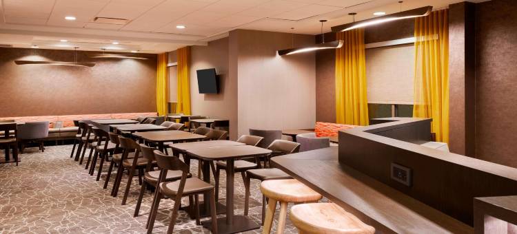 阿什维尔万豪SpringHill酒店(SpringHill Suites Asheville)图片