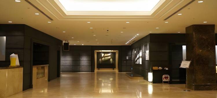 安比(東京)酒店(The Qube Hotel Chiba)图片