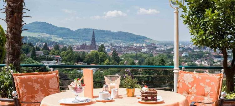 弗赖堡全景美居酒店(Mercure Hotel Panorama Freiburg)图片