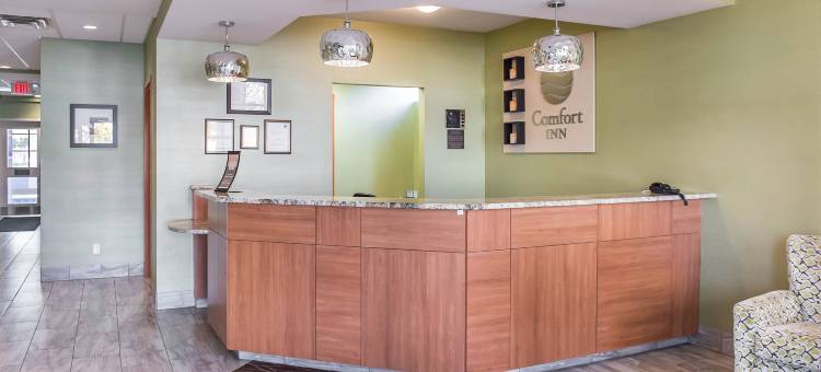 舒适酒店(Comfort Inn)图片