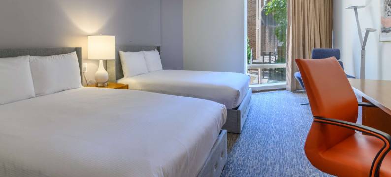 哈德逊上的风玫瑰(Windrose on Hudson)图片