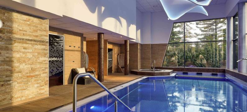 巴塞尔米卢斯机场美居酒店(Mercure Bale Mulhouse Aeroport)图片