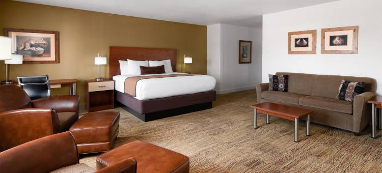 迪斯卡弗里王国贝斯特韦斯特酒店(Best Western Discovery Inn)图片