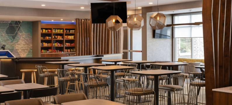 底特律斯特林海茨万豪SpringHill酒店(SpringHill Suites by Marriott Detroit Sterling Heights)图片