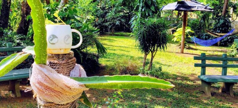 苏加塔游客休息旅馆(Sujatha Tourist Rest)图片