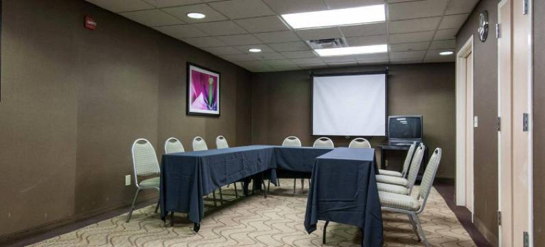 舒适套房酒店-中心/44号州际公路(Comfort Suites Central-I-44)图片