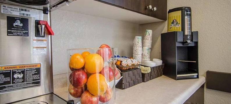 温德姆埃斯特万Travelodge套房(Travelodge Suites by Wyndham Estevan)图片