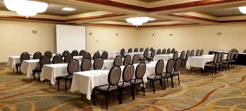 洲际酒店集团旗下芝加哥西南康提赛德假日酒店会议中心(Holiday Inn CHICAGO SW-COUNTRYSIDE CONFCTR by IHG)图片