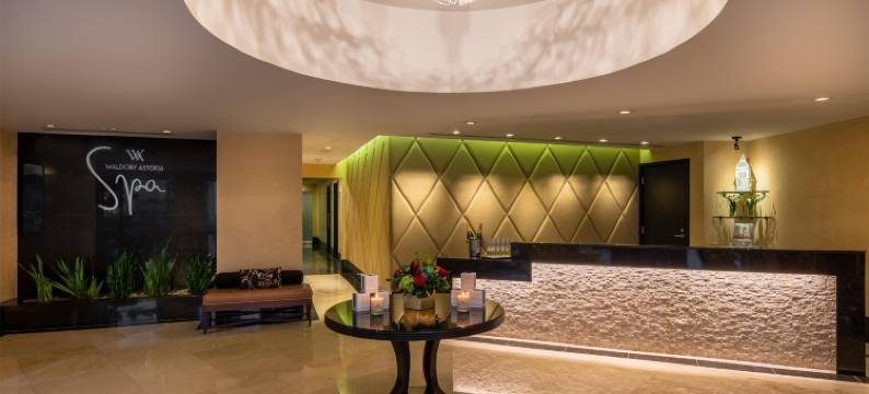 新奥尔良罗斯福华尔道夫度假酒店(The Roosevelt New Orleans, A Waldorf Astoria Hotel)图片