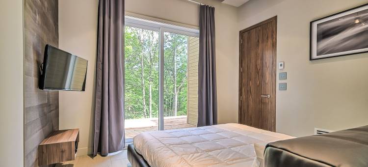 Bel Air Tremblant ASPEN: 2 CHAMBRES, JACUZZI图片