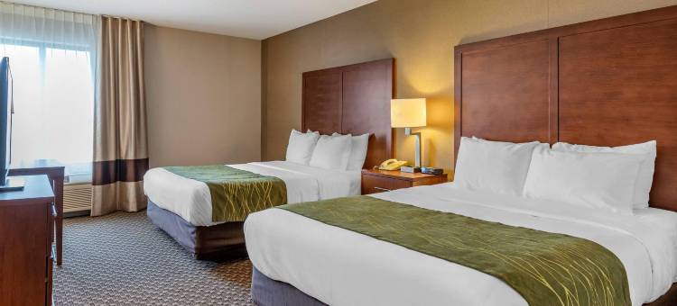 舒适酒店(Comfort Inn Charlotte)图片