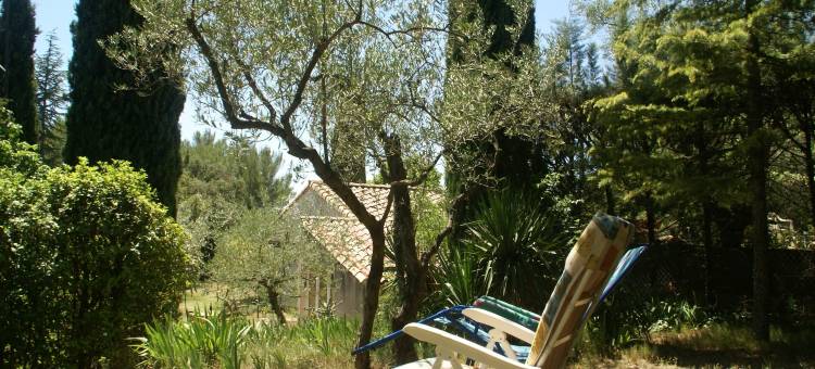 Mediterranean Garden Retreat图片