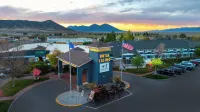 Prospector Hotel & Gambling Hall - 宠物友好