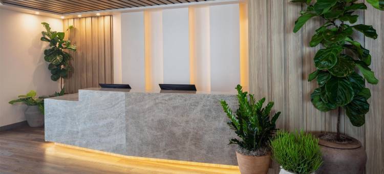 普莱诺希尔顿启缤精选Clara酒店(The Clara Hotel Plano Tapestry Collection by Hilton)图片