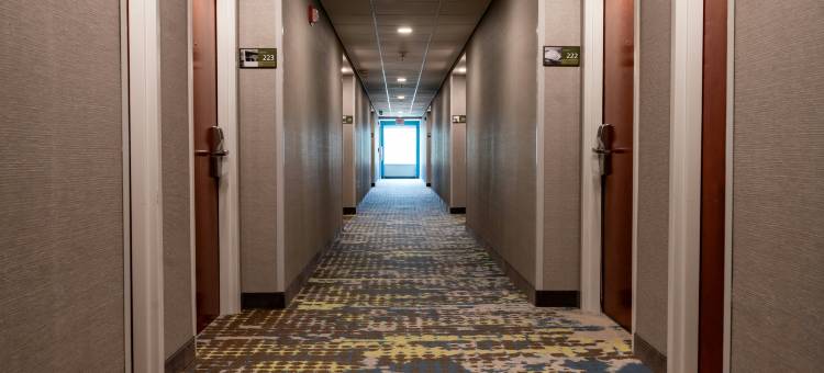 利斯堡欢朋套房酒店(Hampton Inn & Suites Leesburg)图片