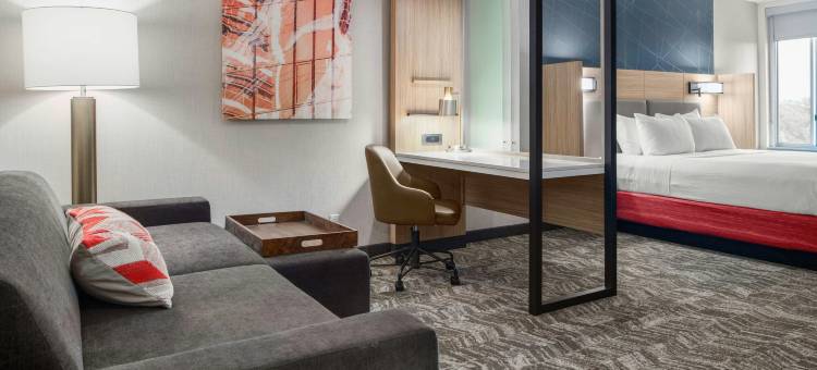 罗利埃佩克斯SpringHill Suites酒店(SpringHill Suites Raleigh Apex)图片