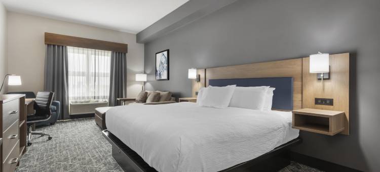 布兰顿贝斯特韦斯特优质酒店(Best Western Plus Brandon Inn)图片