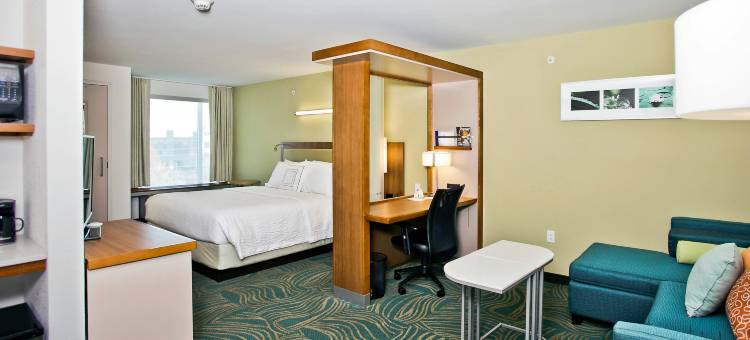 莫比尔SpringHill Suites酒店(SpringHill Suites Mobile)图片