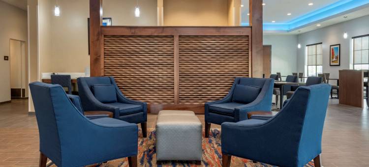 舒适套房酒店(Comfort Suites)图片