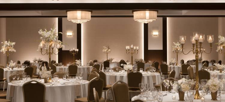 明尼阿波利斯市中心喜来登会议中心酒店(Sheraton Minneapolis Downtown Convention Center)图片