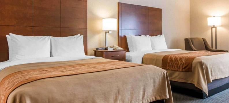 萨利达舒适酒店(Comfort Inn Salida)图片