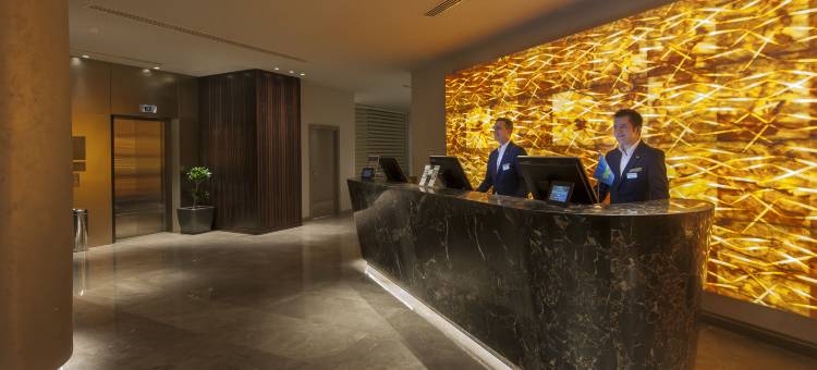 伊斯坦布尔阿塔科丽笙蓝标酒店(Radisson Blu Hotel Istanbul Ottomare)图片