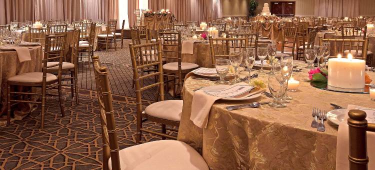 芝加哥绍姆堡伍德菲尔德希尔顿安泊酒店(Embassy Suites by Hilton Chicago Schaumburg Woodfield)图片