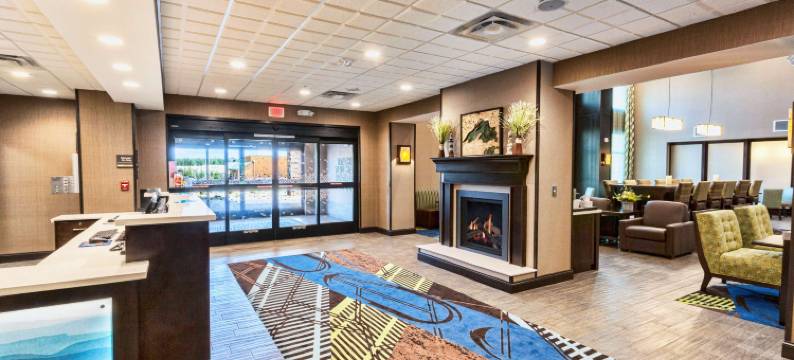 北德卢斯商场区欢朋套房酒店(Hampton Inn & Suites Duluth North/Mall Area)图片