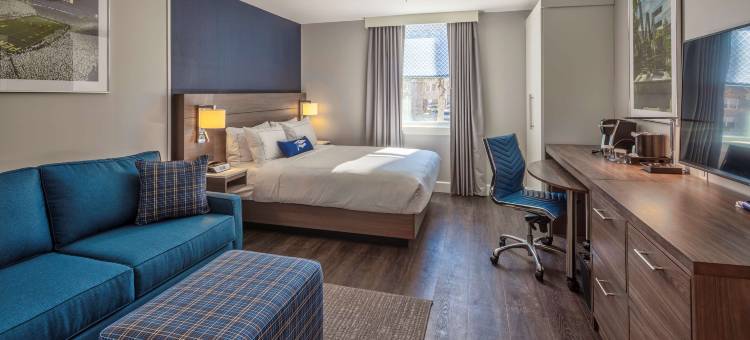 学者州立学院酒店-希尔顿启缤精选酒店(Scholar State College, Tapestry Collection by Hilton)图片