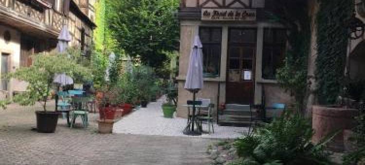 Gîte de Montagne -Bellefosse Alsace图片