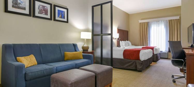 富尔顿戴尔I-65附近I-22舒适套房酒店(Comfort Suites Fultondale I-65 Near I-22)图片