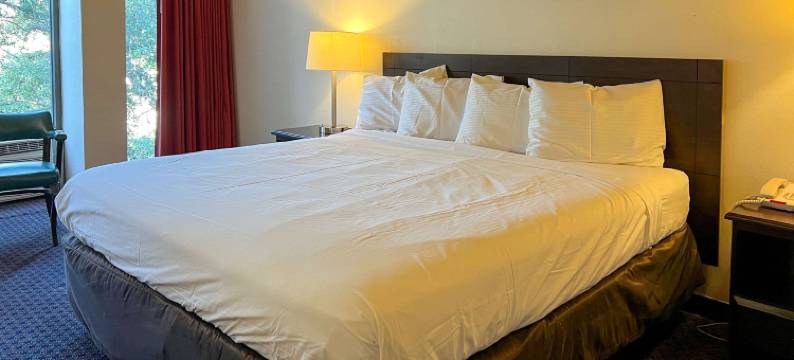 (伊克诺旅馆)(Econo Lodge San Angelo)图片