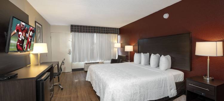 圣奥古斯丁红顶PLUS酒店(Red Roof Plus+ St Augustine)图片