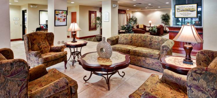 Holiday Inn & Suites 安阿伯大学密歇根地区(Holiday Inn & Suites Ann Arbor Univ. Michigan Area)图片