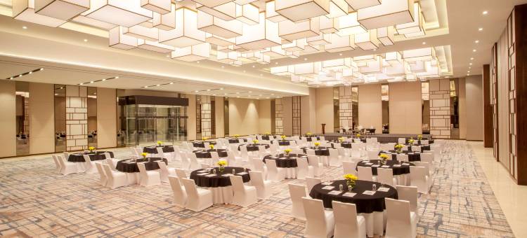 德里久尔凯悦酒店(Hyatt Regency Thrissur)图片