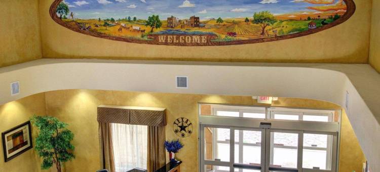 舒适套房酒店(Comfort Inn & Suites)图片