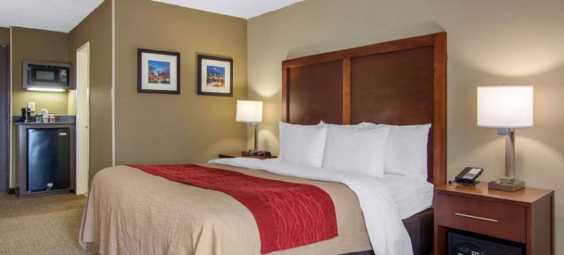 舒适酒店-桑迪泉/环路(Comfort Inn Sandy Springs - Perimeter)图片