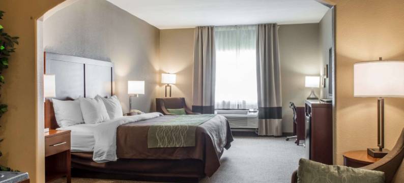 舒适酒店-爱丁堡南(Comfort Inn Edinburg South)图片