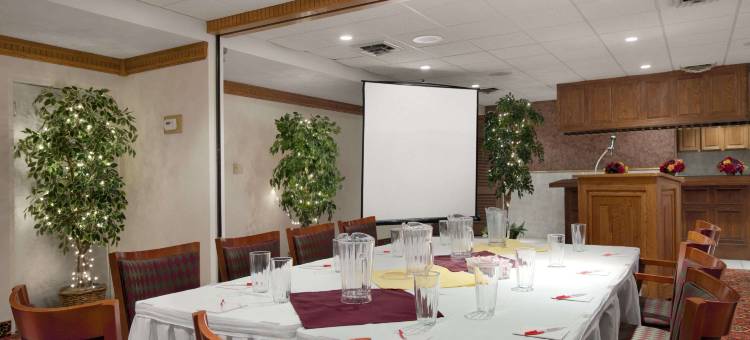 萨吉诺华美达套房酒店(Ramada by Wyndham Saginaw Hotel & Suites)图片