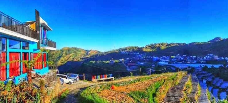 Afton Homestay Sikunir图片