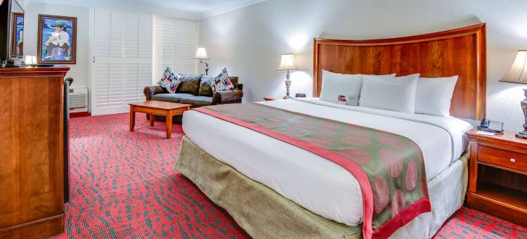 梅塔里新奥尔良机场华美达酒店(Ramada by Wyndham Metairie New Orleans Airport)图片